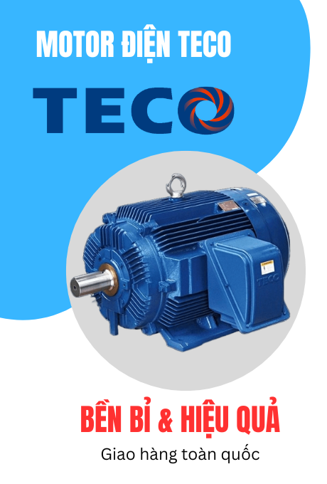 Motor điện Teco - động cơ điện Teco