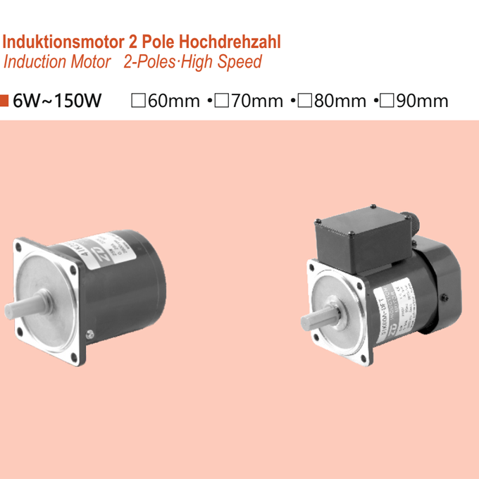 ZD Motor 2Poles 5IK150A-TFT
