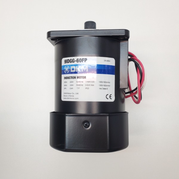Motor DKM 3Pha 220V 60W- Model: 9IDGG-60FP