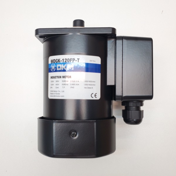 Motor DKM 3Pha 120W- Model: 9IDGK-120FP