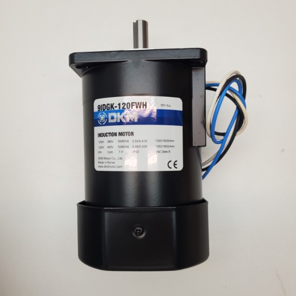 Motor DKM 3Pha 120W- Model: 9IDGK-120FWH