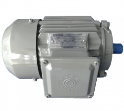 Motor Tatung 5.5HP