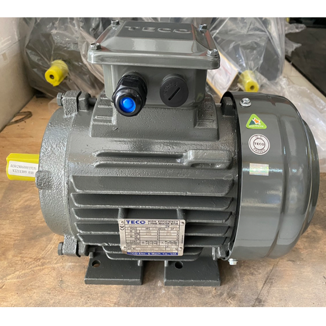 Motor TECO 335 HP 3Pha Chân Đế IE2 - 4Poles