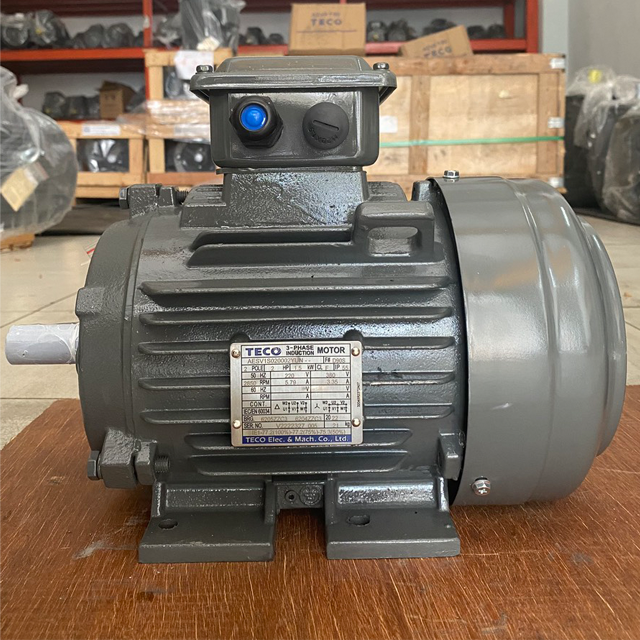 Motor TECO 1HP 3Pha Chân Đế IE1 - 2Poles