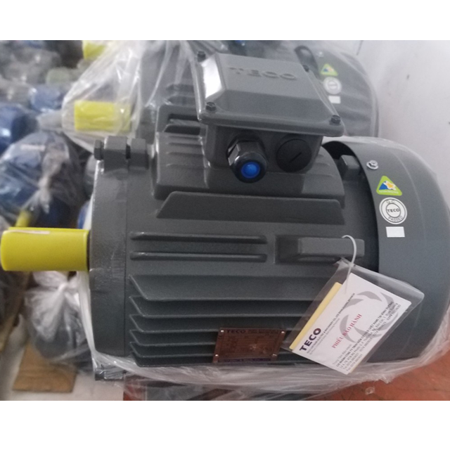 Motor TECO 175 HP 3Pha Chân Đế IE2 - 6Poles